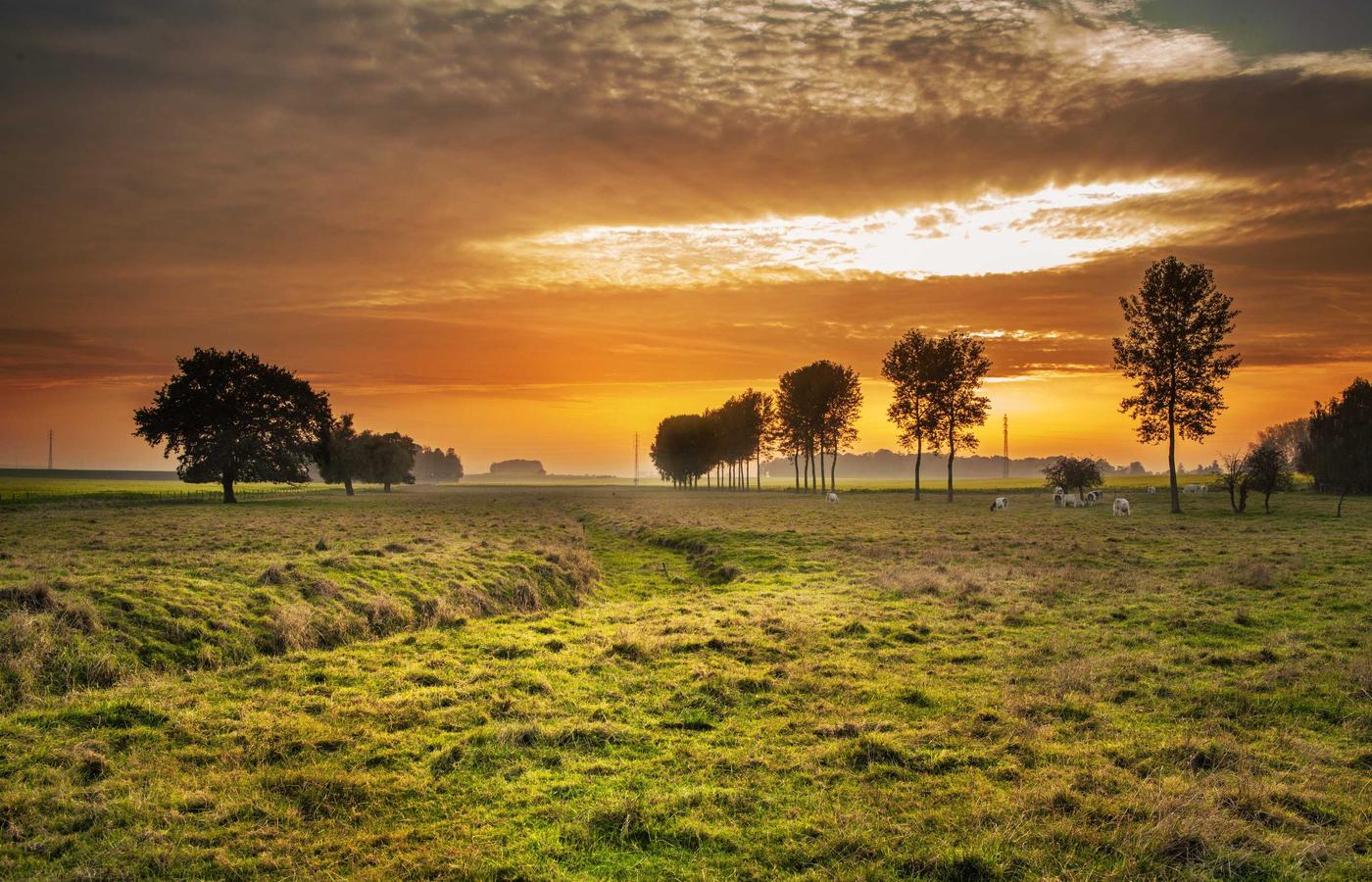 Фото сотрудника